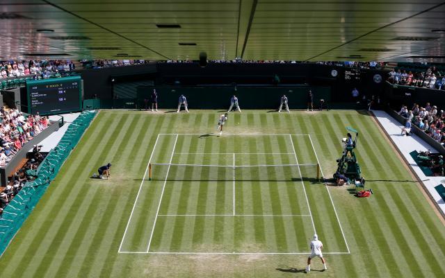 v站-温网沦为表演赛梅总“躺回”第一 德约恐跌至第七